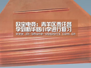 欧宝电竞:青羊区责任督学到新华路小学进行复习教学专项督查(图2) 欧宝体育官网