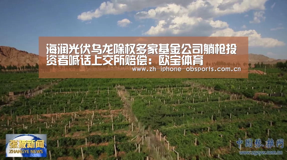 海润光伏乌龙除权多家基金公司躺枪投资者喊话上交所赔偿:欧宝体育(图1) OB真人