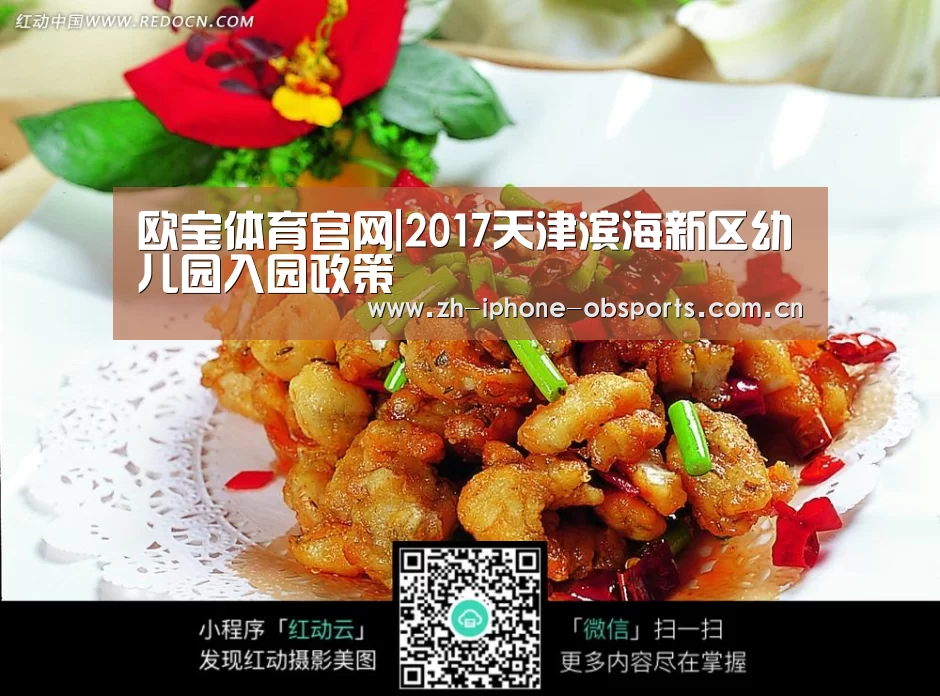 欧宝体育官网|2017天津滨海新区幼儿园入园政策(图1) 欧宝电竞